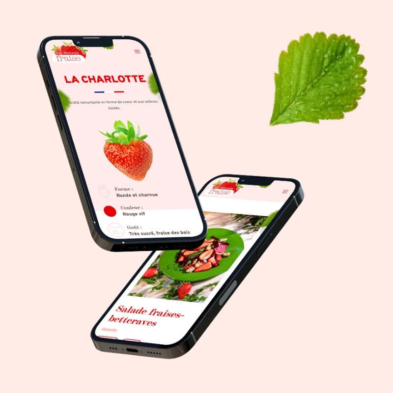 Fraise de France site internet responsive
