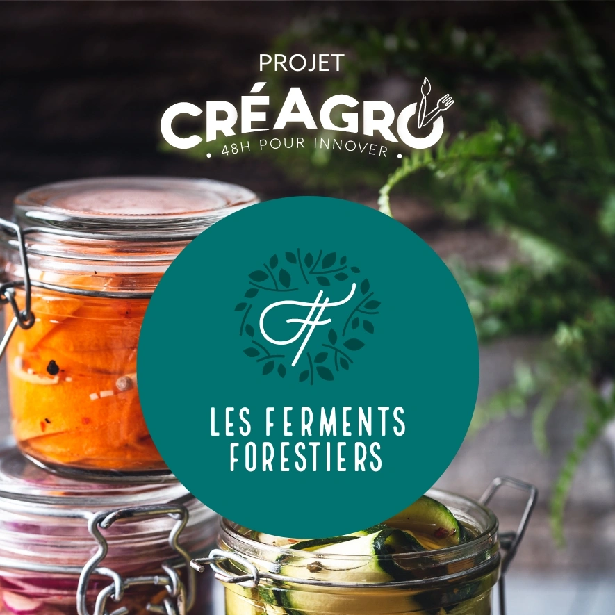 Projet créagro, ferments forestiers